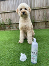 Trails and Paws dry dog foam shampoo